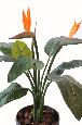 Plante artificielle fleurie Strelitzia 2 fleurs - décoration intérieure - H.85cm