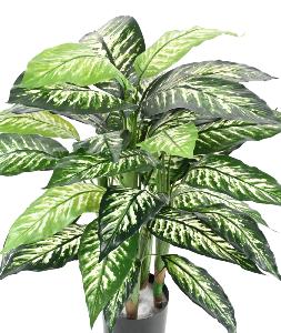 Plante verte artificielle Dieffenbachia - décoration d'intérieur - H.80cm