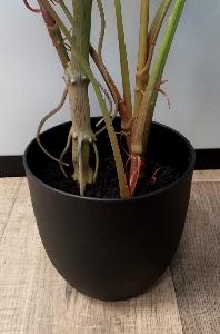 Plante artificielle Alocasia en pot - plante d'intérieur - H.75cm vert rouge