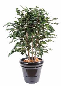 Arbuste artificiel Ficus Exotica buisson - plante d'intrieur - H.80cm vert