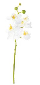 Fleur artificielle Orchide Phalaenopsis 6 fleurs - Fresh Touch - H.60 cm blanc