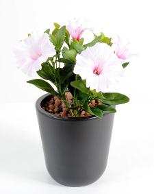 Fleur artificielle Petunia 4 fleurs - plante d'intrieur en piquet - H.25cm lilas