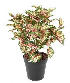 Plante artificielle Begonia rex en piquet - dcoration d'intrieur - H.37cm panach