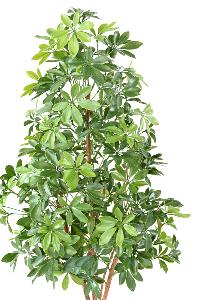 Plante artificielle Choisya Tree Plast UV - intérieur extérieur - H.150cm