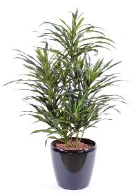 Plante artificielle Dracaena Anita - dcoration d'intrieur - H.45cm vert
