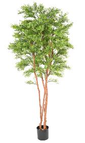 Arbre artificiel Eucalyptus Tree UV - plante intrieur extrieur - H.210cm