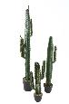 Cactus artificiel Cereus - Plante artificielle pour intérieur - H.70cm vert