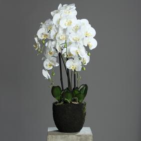 Fleur artificielle Orchide Phalaenopsis en motte - plante d'intrieur - H.85cm crme