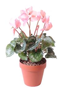 Fleurs artificielles Cyclamen - plante en piquet pour intrieur - H.32cm rose