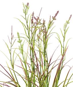 Graminée artificielle Acorus fleuri en pot - plante d'extérieur - H.45cm vert violet