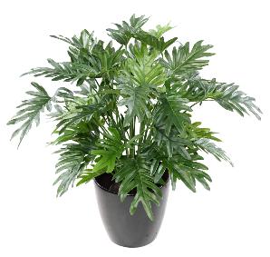 Plante artificielle Philodendron Selloum - plante d'intrieur - H.75cm vert