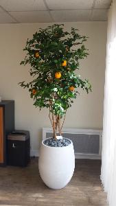 Arbre artificiel fruitier Oranger new - intérieur - H.150cm vert orange