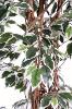 Arbre artificiel Ficus lianes grandes feuilles - plante d'intérieur - H.150cm vert/crème