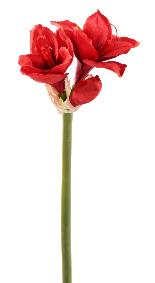 Amaryllis artificielle  la tige 2 fleurs - composition florale - H.75cm rouge