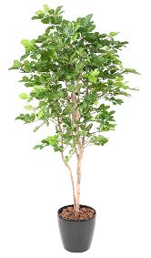 Arbre forestier artificiel Htre Grandifolia - dcoration d'intrieur - H.190cm