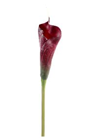 Fleur artificielle Calla Arome haute qualit - composition bouquet - H.80 cm rouge brun