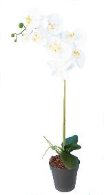 Fleur artificielle Orchide Phalaenopsis - 8 fleurs et 4 boutons - H.76cm blanc