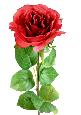 Fleur artificielle coupée rose - décoration d'intérieur - H.66cm rouge