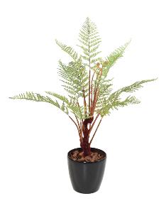 Plante artificielle Fougre Dicksonia en pot 13 feuilles - intrieur - H.115cm vert