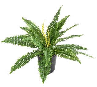 Plante artificielle Fougre en piquet 19 feuilles - plante d'intrieur - H.50cm vert