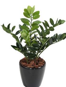 Plante artificielle verte Zamioculcas - dcoration pour intrieur - H.60cm