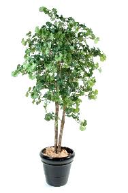 Arbre artificiel Ginkgo biloba - plante synthtique d'intrieur - H.240cm