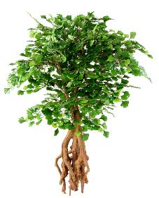 Arbre artificiel Ginkgo biloba root - plante synthtique d'intrieur - H.135cm