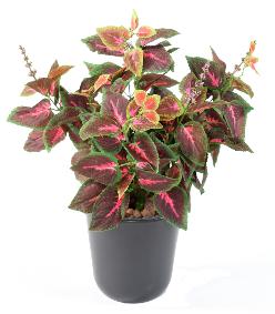 Feuillage artificiel Coleus en piquet - plante verte intrieur - H.40cm vert rouge