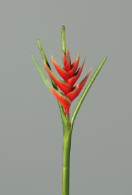 Fleur artificielle Hliconia bec de perroquet - fresh touch haute qualit - H.126cm rouge
