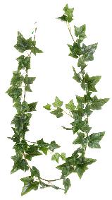 Guirlande artificielle Lierre anglais 68 feuilles - intrieur - H.180cm vert