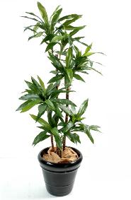 Plante artificielle Dracaena Fragrans - dcoration d'intrieur - H.145cm vert