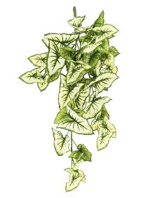 Plante artificielle Syngonium en piquet - dcoration d'intrieur - H.60cm panach