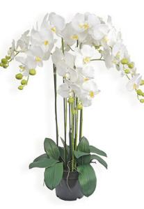 Plante artificielle Orchidée en pot - plante synthétique - H.90cm blanc 