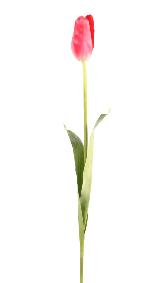 Fleur artificielle coupe Tulipe - dcoration d'intrieur - H.79cm rose