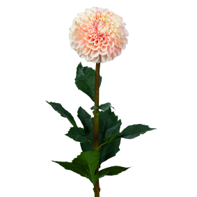 Fleur artificielle tige de Dahlia - composition florale - H.96cm crme rose