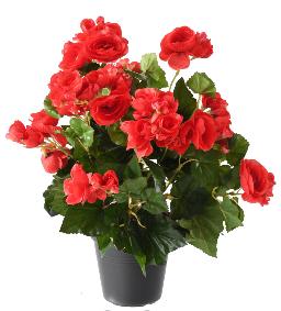 Fleurs artificielles Bgonia - plante en piquet - H.30cm rouge