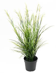 Graminée artificielle Acorus fleuri en pot - plante d'extérieur - H.70cm vert blanc