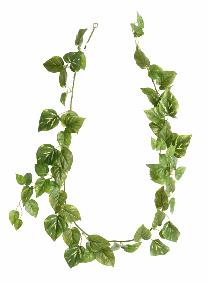Guirlande artificielle Pothos 68 feuilles - dcoration pour intrieur - H.180cm vert blanc