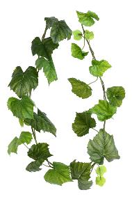 Guirlande artificielle de vigne vierge - dcoration d'intrieur - H.180cm vert