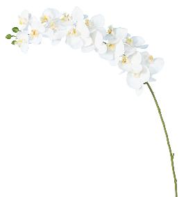 Orchide artificielle Phalaenopsis 15 fleurs - cration bouquet - H.125 cm blanc
