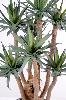 Plante artificielle Agave 7 troncs - succulente pour intérieur - H.72cm vert
