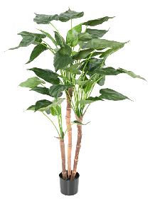 Plante artificielle Alocasia Cucullata - plante tropicale d'intrieur - H.110cm