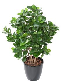Plante artificielle Clusia buisson - dcoration d'intrieur - H.95cm vert