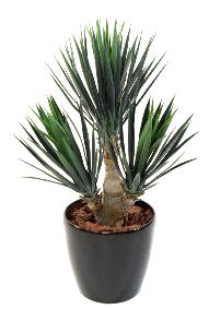 Plante artificielle Yucca Baby 3 troncs - dcoration pour intrieur - H.70cm