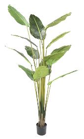 Plante tropicale artificielle Arbre du voyageur - plante intrieur - H.220cm