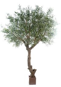 Arbre fruitier artificiel Olivier tte gant et olives - plante pour intrieur - H.270cm