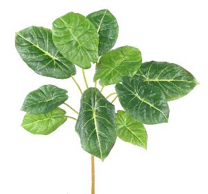 Feuillage artificiel Alocasia 10 feuilles - plante verte d'intrieur - H.50cm