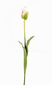 Fleur artificielle coupe Tulipe - dcoration d'intrieur - H.79cm vert