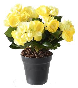 Fleurs artificielles Bgonia mini - plante en piquet - H.20 cm jaune