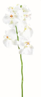 Orchidée artificielle Phalaenopsis 6 fleurs - création bouquet - H.85cm blanc